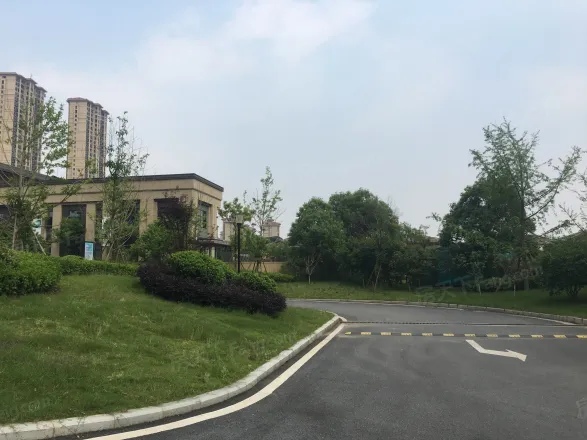 湾里保利半山国际