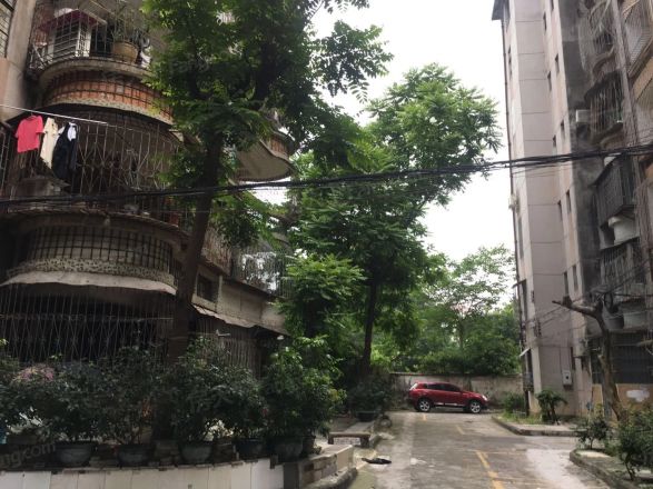市桥怡乐园实景图