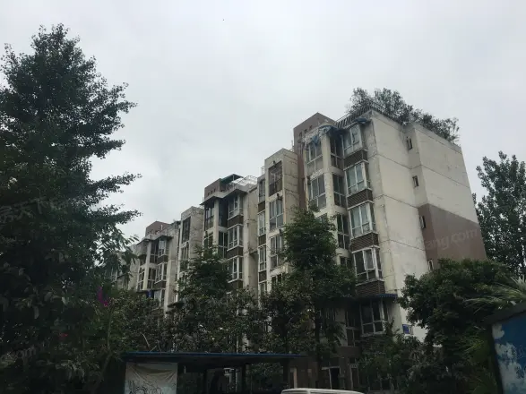 荆竹小区七号院实景图