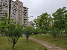 新上,前滩南,电梯中楼层,大三房 ,8M,看房方便