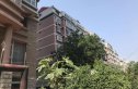 园林局宿舍健康路实景图