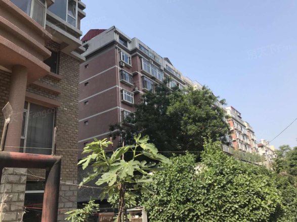 园林局宿舍健康路实景图