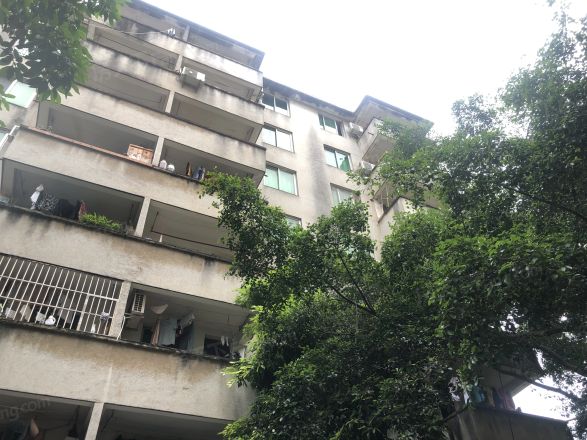 新阳南三区实景图