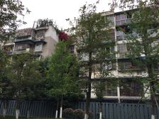 新桥丽景B区1室1厅南