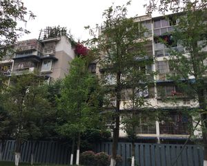 新桥丽景B区1室1厅南