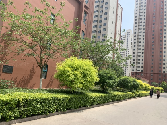 柴楼新庄园隆园实景图