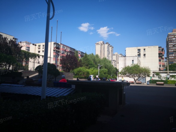 西罗园南里实景图
