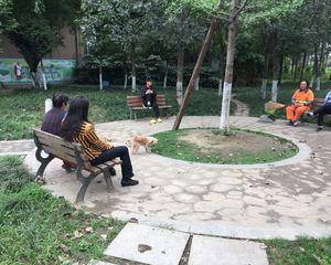 泉水东苑A区2室2厅西北