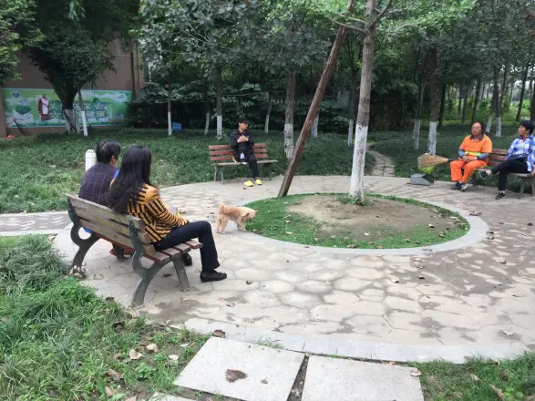泉水东苑