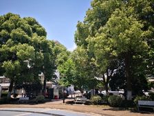 燕阳花园2室2厅南北