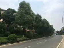 别问为什么这么贵,房东扩张费用都比买房子的费用高