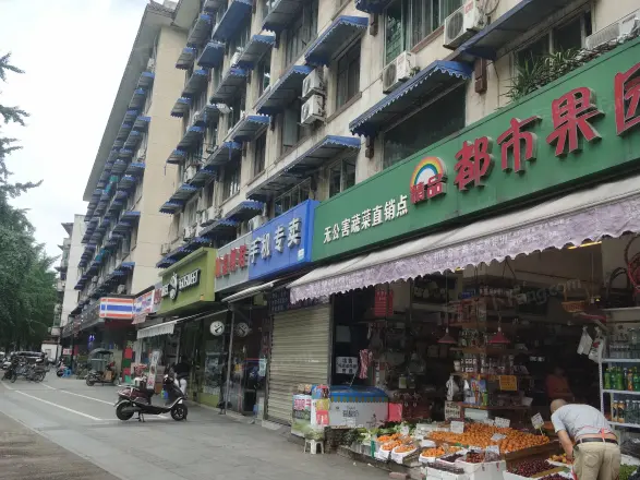 锦里西路66号院实景图