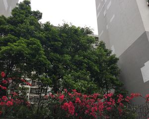 泉水人家二期B区2室2厅北