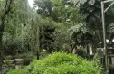 贵通御苑金枫阁实景图