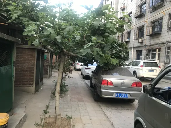 园林局宿舍健康路实景图