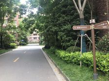 电梯洋房带阁楼,买一层多一层。