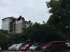 新桥丽景B区2室1厅西南