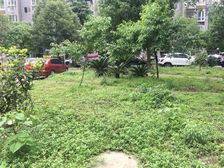 荆竹小区7号院2室1厅东西