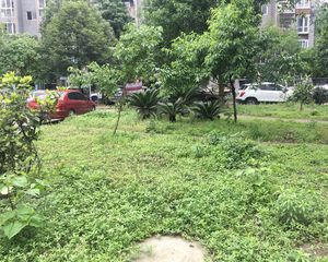 荆竹小区7号院1室2厅东