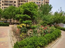 马赛公馆满五唯一南北通透大两居无遮挡视野好