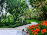 示范区