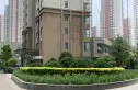 柴楼新庄园隆园实景图
