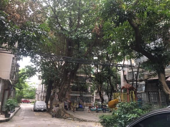 市桥怡乐园实景图