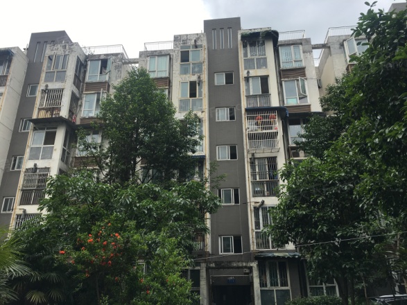 荆竹小区七号院实景图