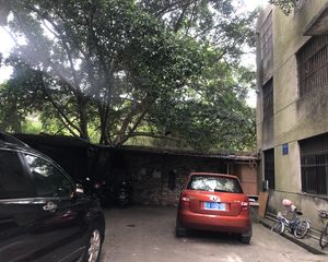 新阳南路大板三区新装修