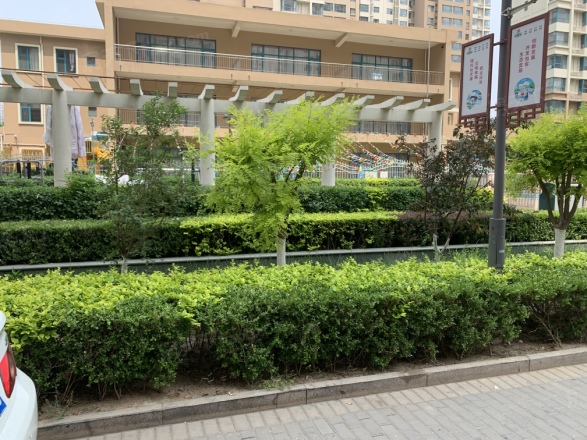 柴楼新庄园金园实景图