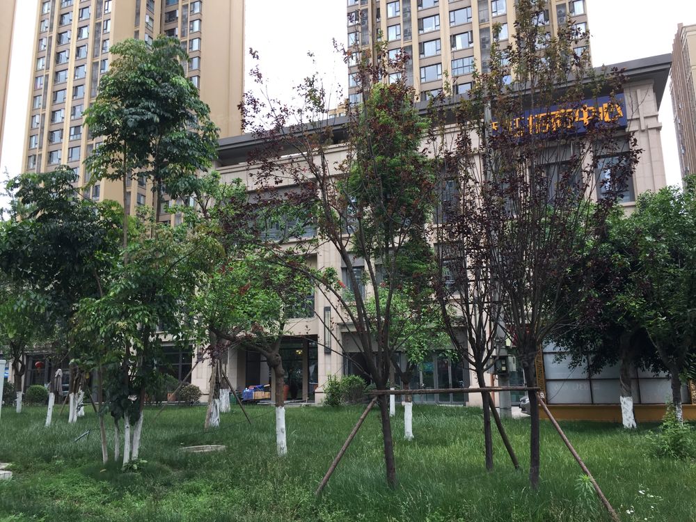 小区相关图
