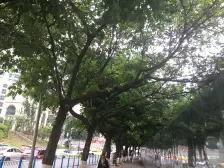 红旗河沟 嘉陵大厦二房48万