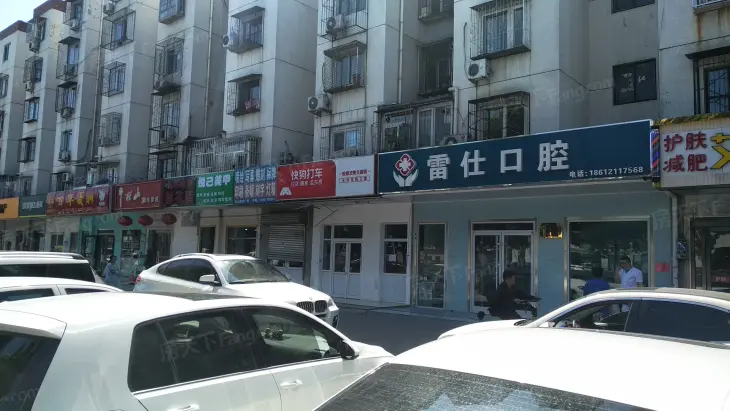 清逸园甲区实景图
