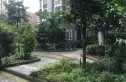 荆竹小区七号院实景图