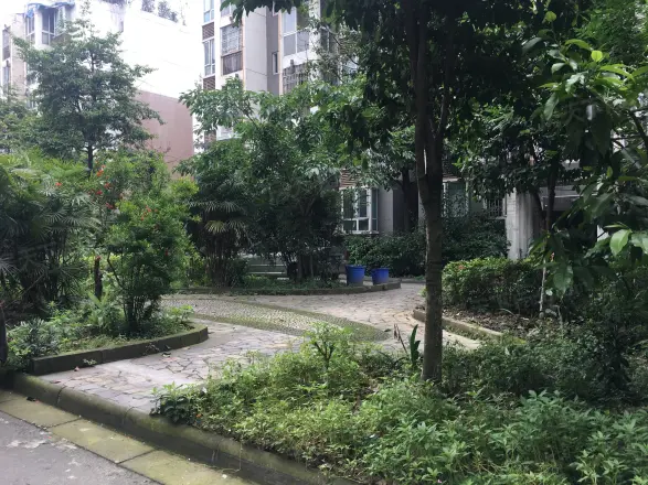 荆竹小区七号院实景图
