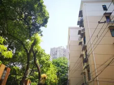 鲁迅公园,全明景观2房,业主诚意卖,看房方便