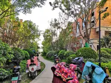 产权清晰 楼龄新 高楼层视野无遮挡 有电梯 板楼 双卫