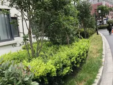 图们新苑1室西南朝向248.00万元/套出售