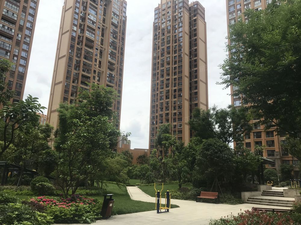 小区相关图