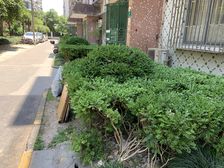 大华·大华二村三街坊·2室·1厅/1厨/1卫