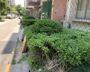 大华·大华二村三街坊·2室·1厅