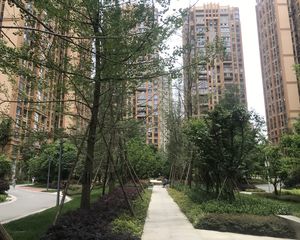 金恒德时代金悦3室2厅东南