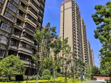 枫杨外国语旁 舒适大3房 双卫 精装修