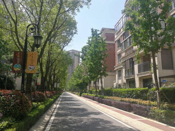 九龙仓碧堤半岛光辉岁月实景图