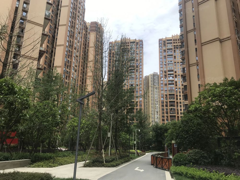 小区相关图