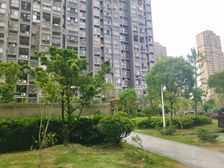 龙湾豪景精装修采光充足视野开阔