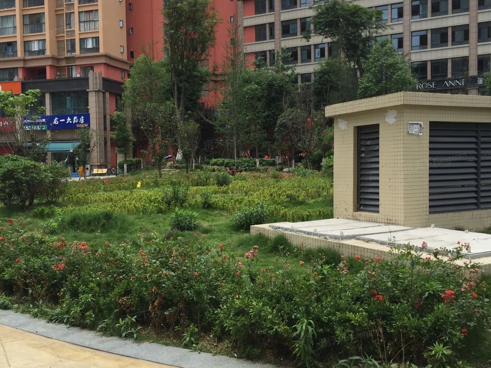小区相关图