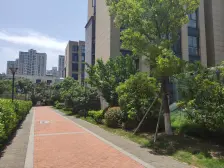 狮山·津西新天地·1室·1厅