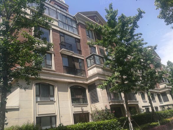 九龙仓碧堤半岛光辉岁月实景图
