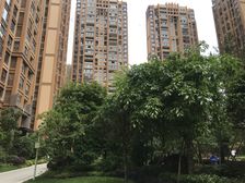 金恒德时代金悦3室1厅东南